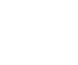 LENS APPLE